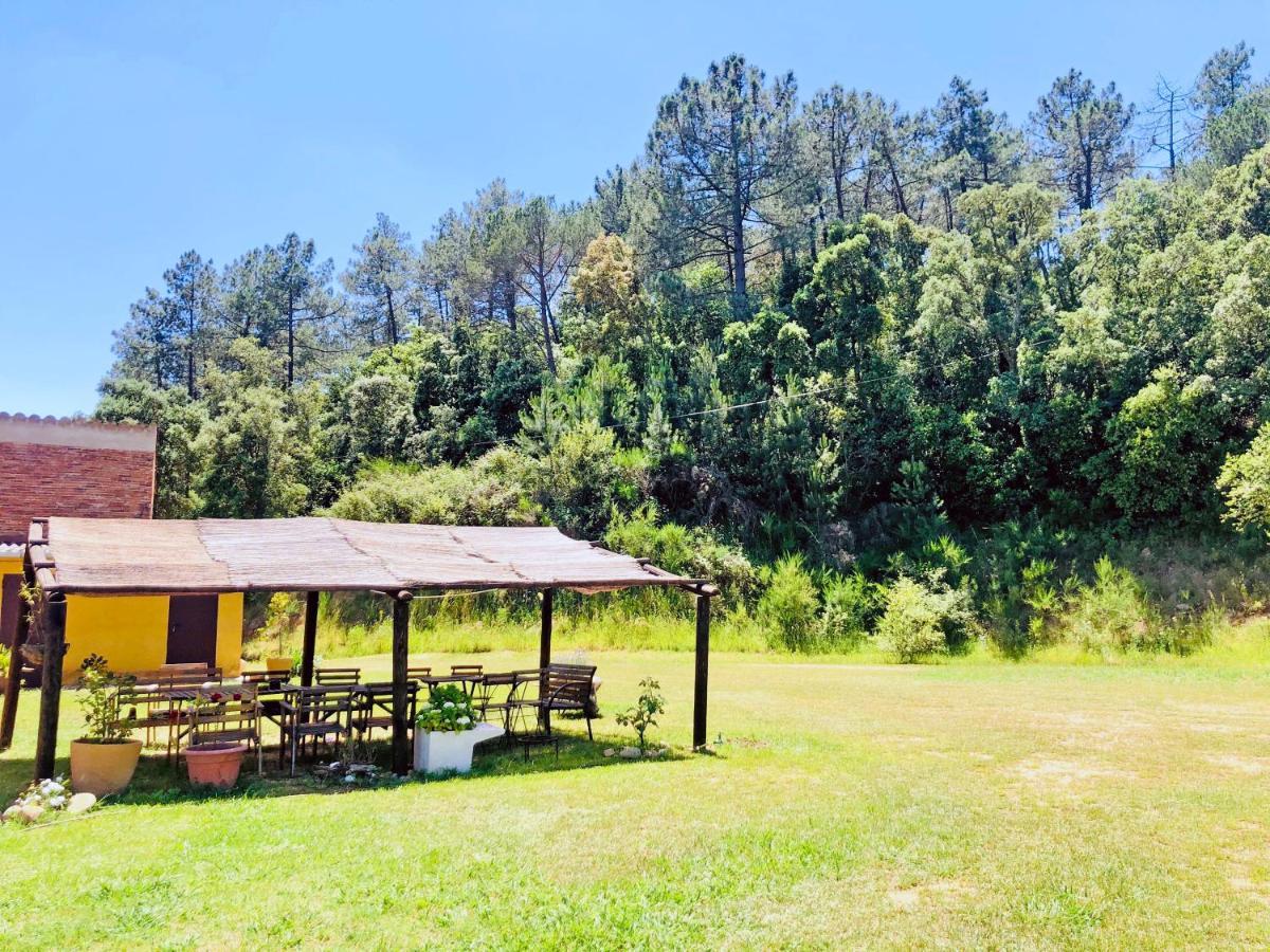 Casa Rural Can Miquel - En Pleno Bosque Y Cerca De La Playa - Increibles Rutas Btt Santa Coloma De Farners Exterior foto